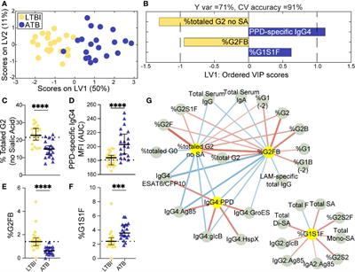 Antibody Subclass and Glycosylation Shift Following Effective TB Treatment